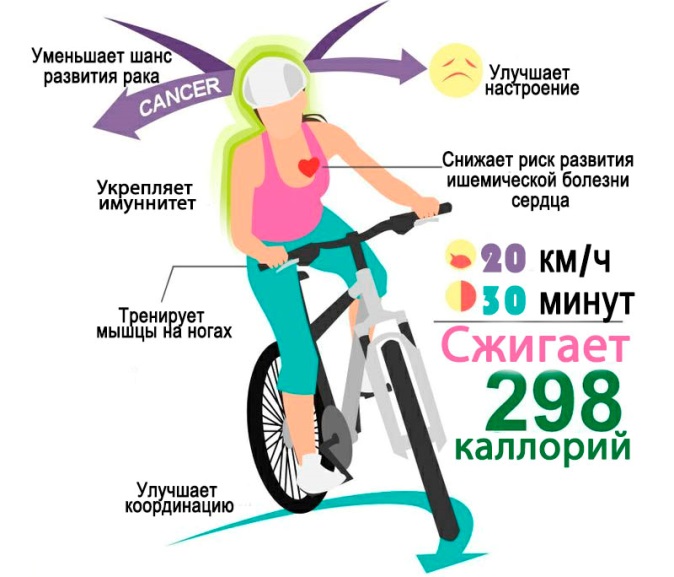 Почему полезно кататься на велосипеде? 