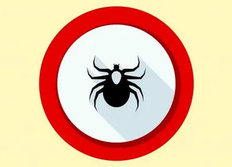 Сезон клещей: как защитить себя