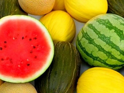 Реализация бахчевых культур