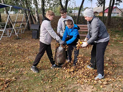 Трудовая акция с участием мотольских школьников