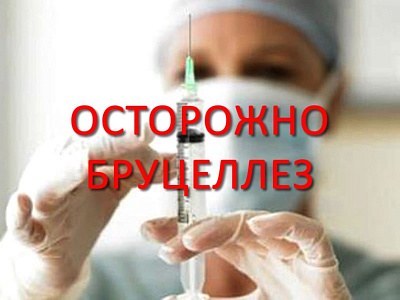 Осторожно! Бруцеллез!
