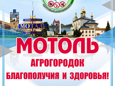 Презентация на  конкурс "«Лучший государственный профилактический проект «Здоровый агрогородок» 