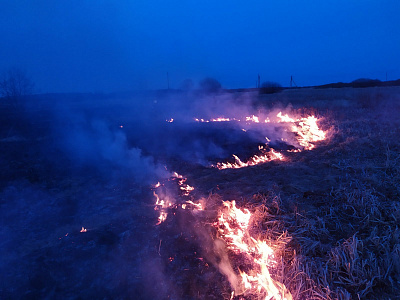 В пойме реки Ясельда произошел пожар