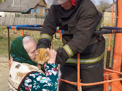 Мотольские спасатели сняли кота с дерева - питомец два дня провёл на макушке тополя